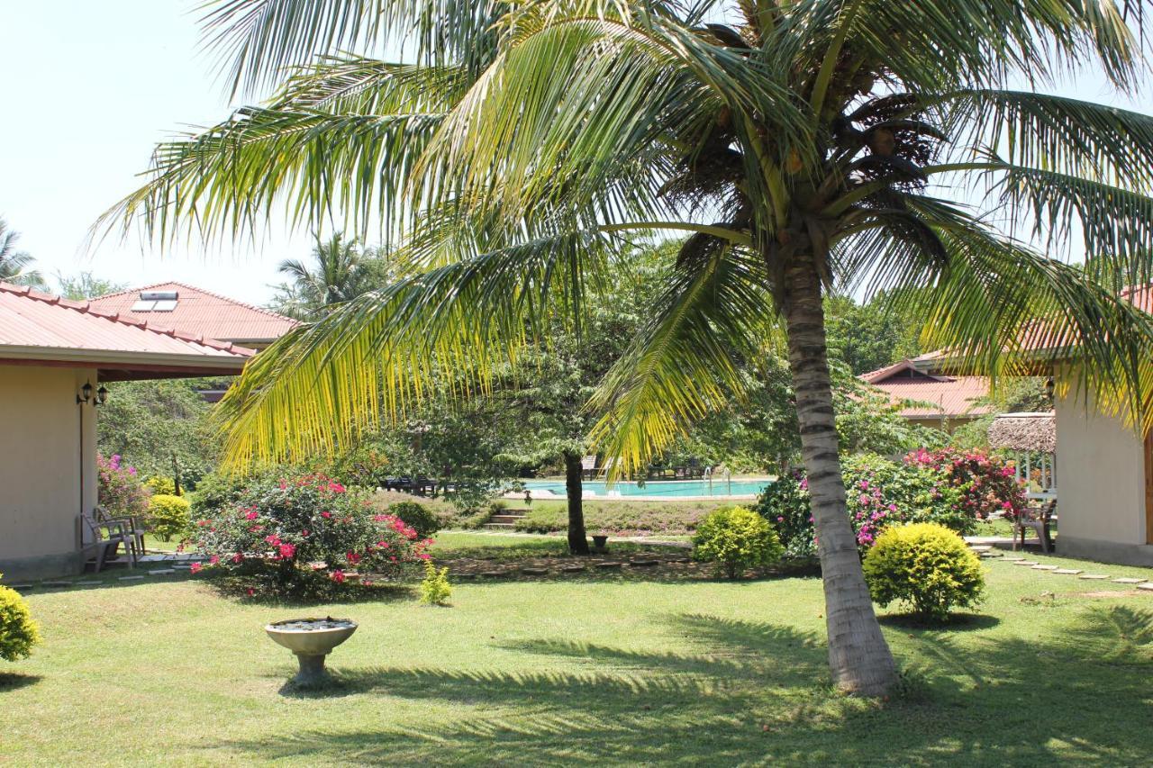 Hibiscus Garden Hotel ทิซซามาฮารามา ภายนอก รูปภาพ