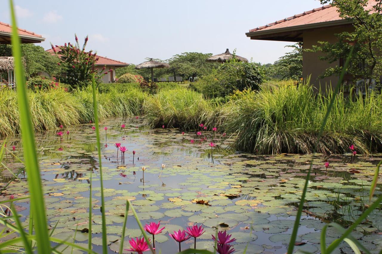 Hibiscus Garden Hotel ทิซซามาฮารามา ภายนอก รูปภาพ
