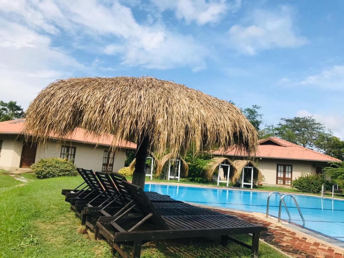 Hibiscus Garden Hotel ทิซซามาฮารามา ภายนอก รูปภาพ
