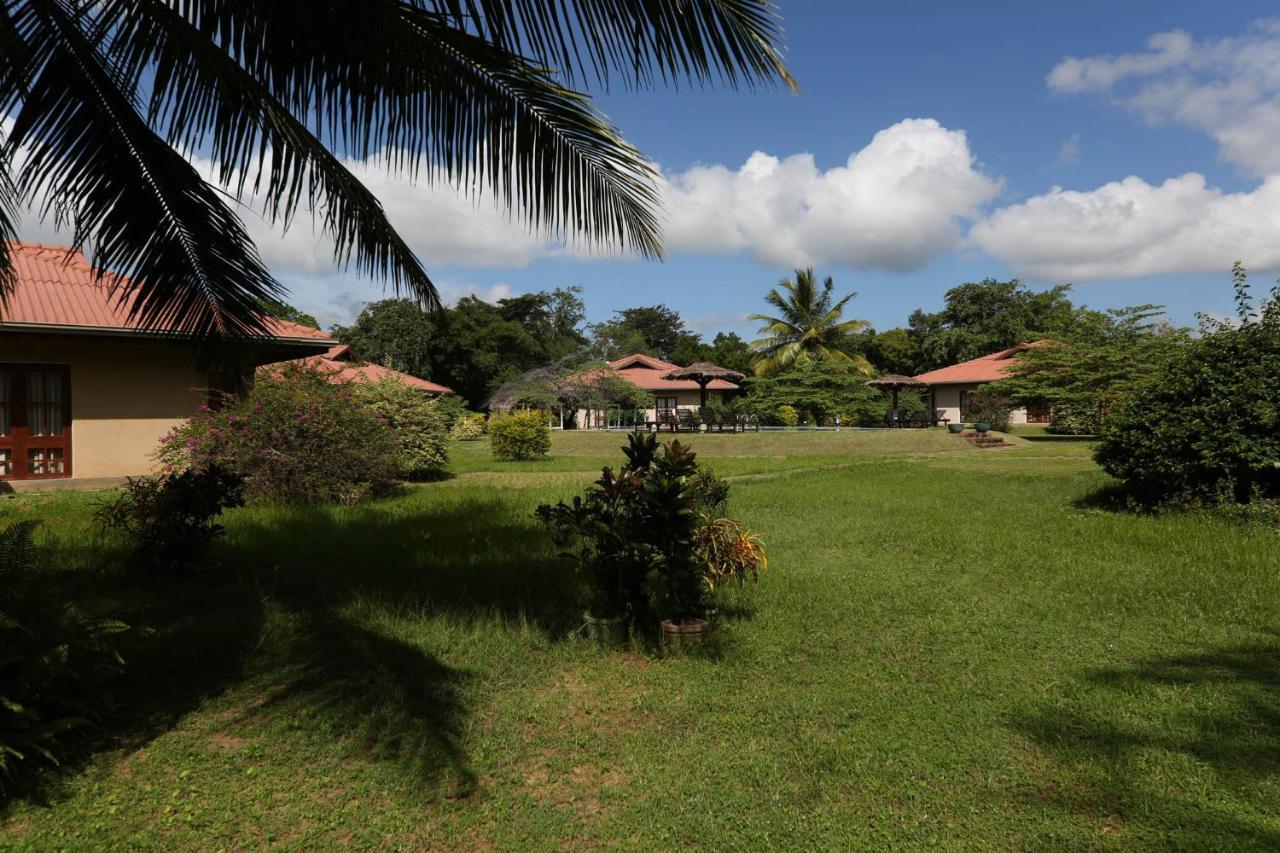 Hibiscus Garden Hotel ทิซซามาฮารามา ภายนอก รูปภาพ